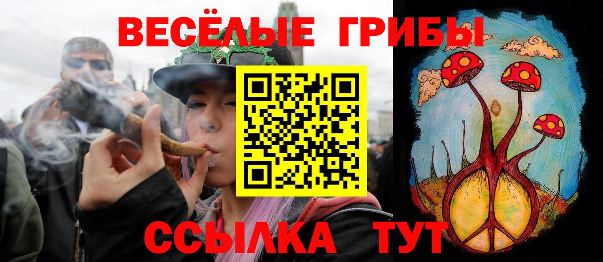 закладка  Галлюциногенные грибы мицелий  Вход с VPN  Элиста 
